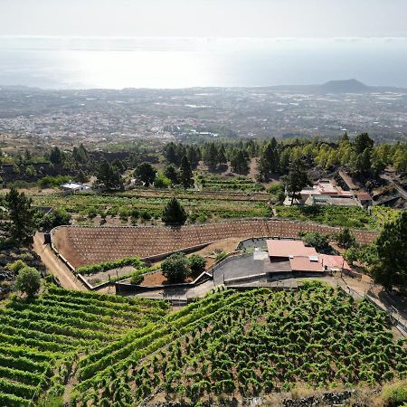 Finca Ecologica Ferrera. Alojamiento Rural. アラフォ エクステリア 写真