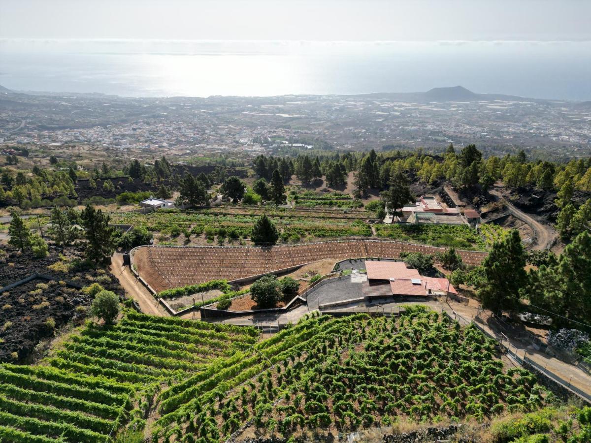 Finca Ecologica Ferrera. Alojamiento Rural. アラフォ エクステリア 写真